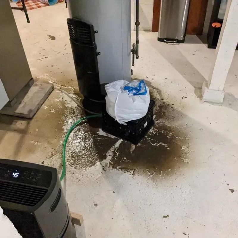Sewage Backup Cleanup Service in Commerce City, CO